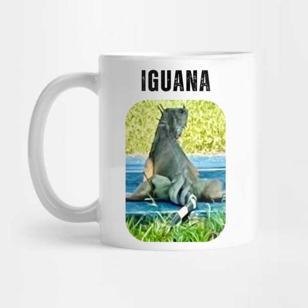 Iguana Lover by The Global Worker